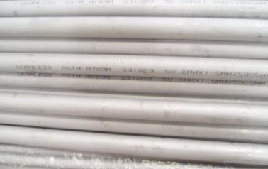 China Austenitic And Ferritic SS Duplex Pipe 50mm Stainless Steel Pipe For Petroleum supplier