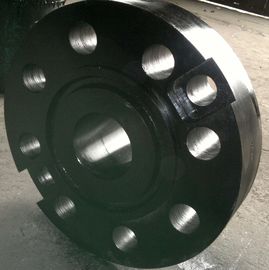 Casting / Forged Stainless Steel Flanges 304L 316L Black Painting 150# - 3000# supplier