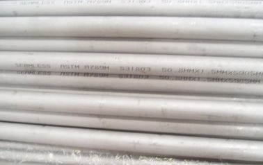 Austenitic And Ferritic SS Duplex Pipe 50mm Stainless Steel Pipe For Petroleum supplier